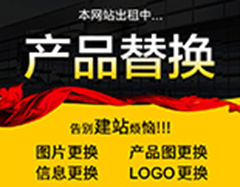 瑞安機械有限公司