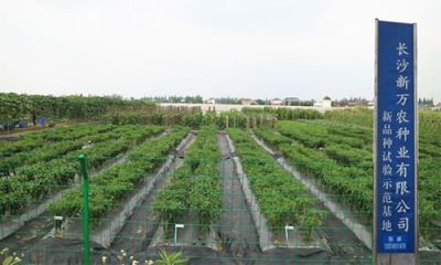 長沙新萬農(nóng)種業(yè)有限公司